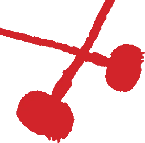 assets image