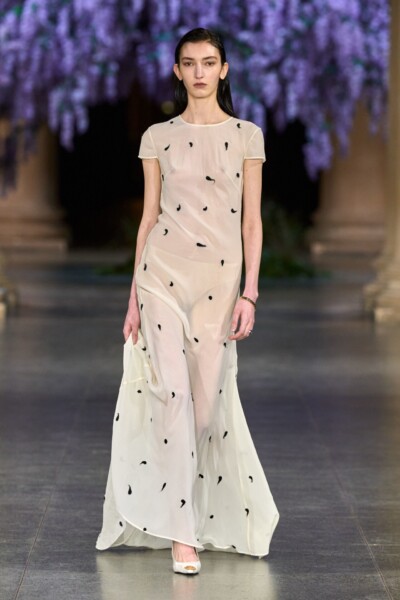 Mithridate Plants new Roots