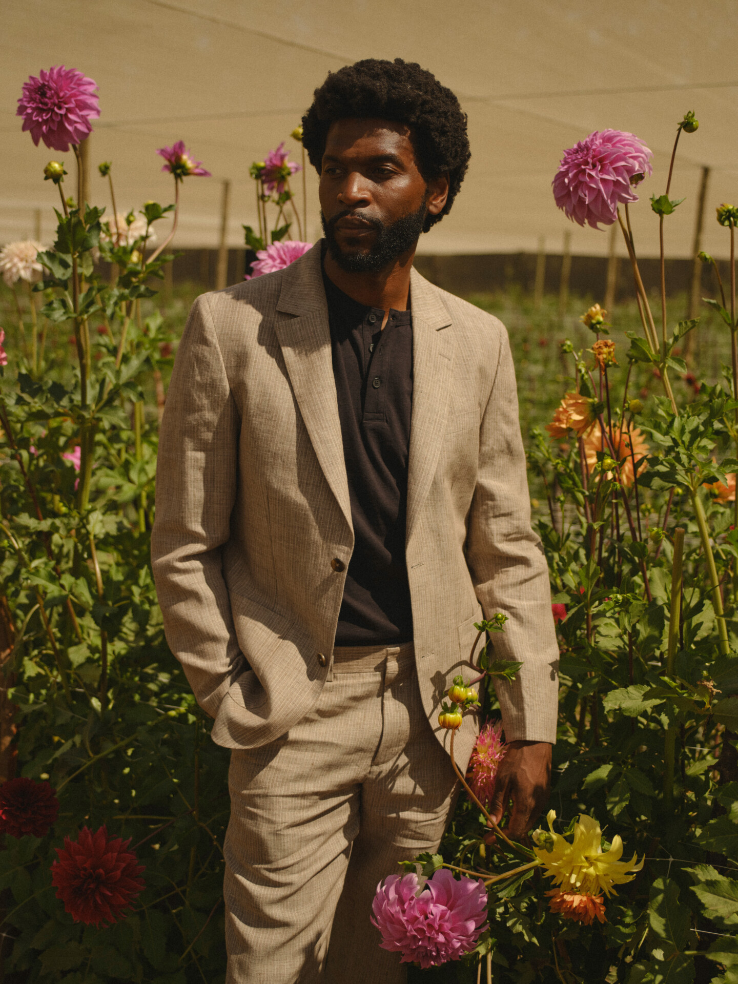 Wax London Reconsiders the Suit for Summer